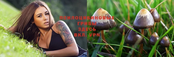 гидра Слюдянка