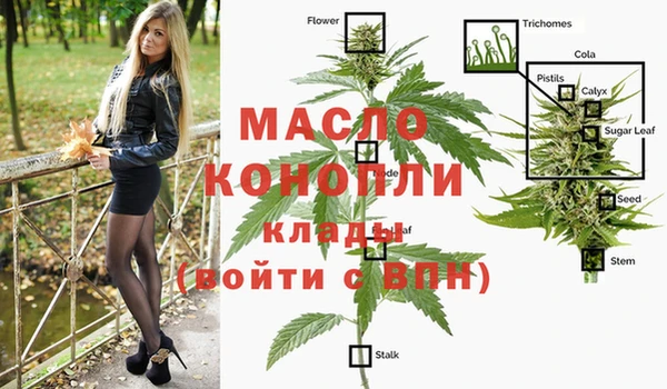 гидра Слюдянка