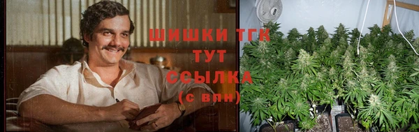 гидра Слюдянка