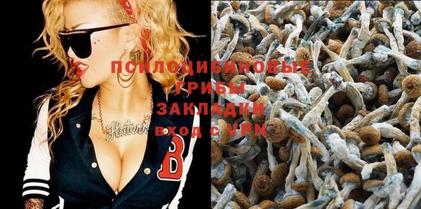 прущие крисы Заволжье