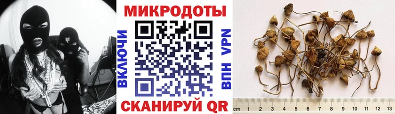 купить наркоту  Спасск-Дальний  Галлюциногенные грибы MAGIC MUSHROOMS 
